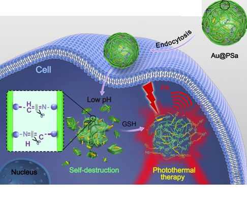 Polysaccharide - Gold Nanoparticle 2018 - Cancer Killers