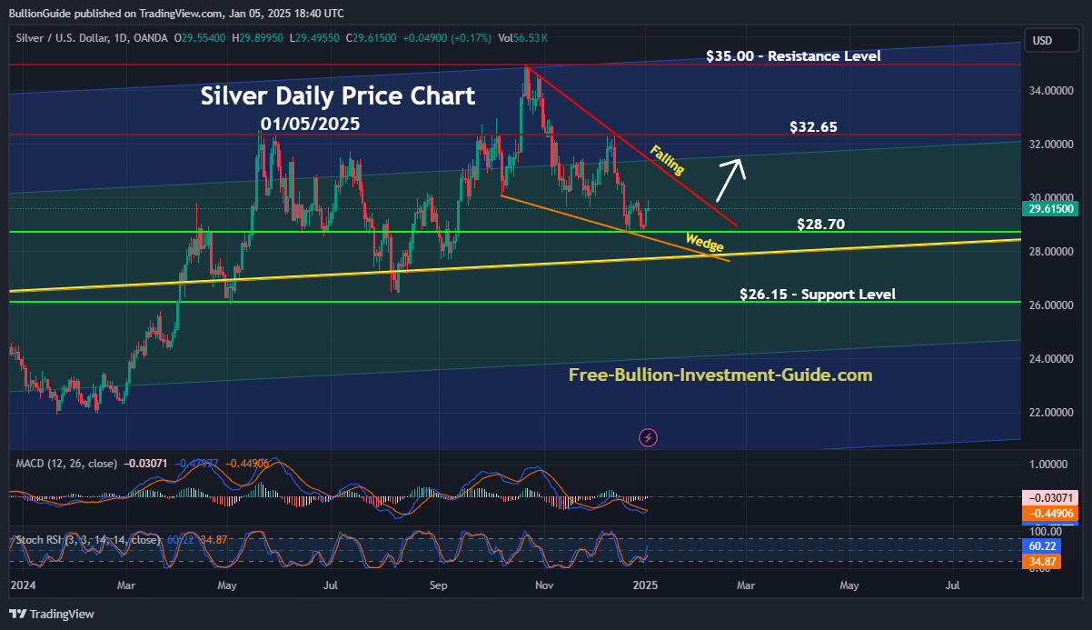 January 2025 Newsletter - Silver Price Chart / TradingView.com