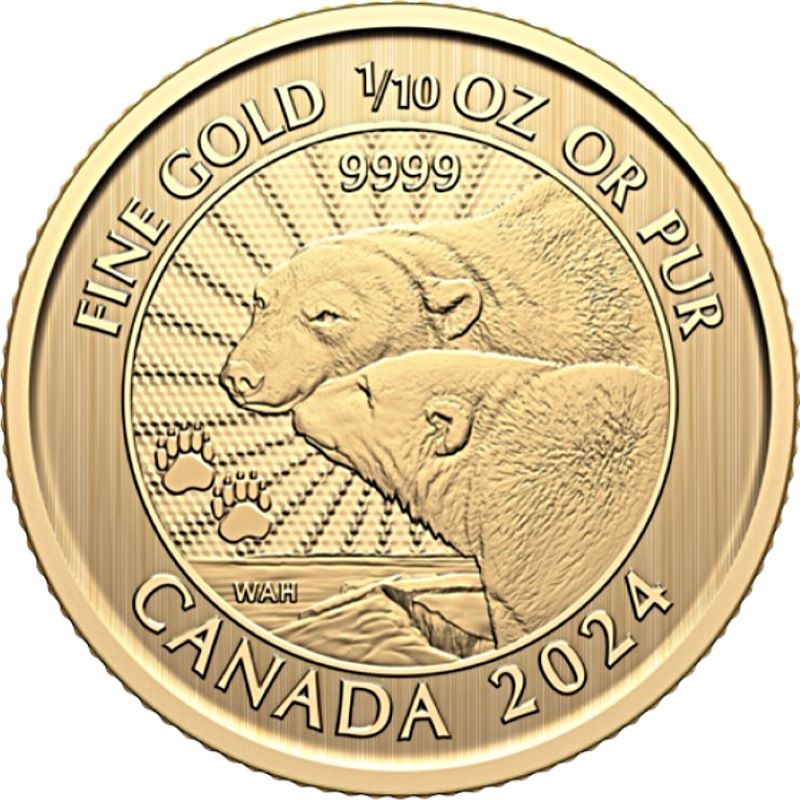 2024 - 1/10oz Gold Majestic Polar Bear Premium Bullion Coin - reverse side