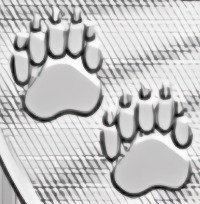 Paw Prints on the 1oz Silver Majestic Polar Bear Premium Bullion Coin - reverse side