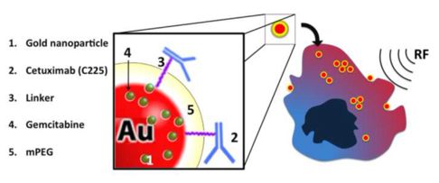 gold nano-particle radiowave